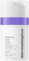 Dermalogica Stabilizing Repair Cream