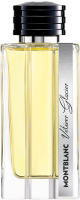 Montblanc Meisterstück Collection Vetiver Glacier EdP Nat. Spray