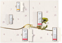 Dr. Hauschka Dr. Hauschka Adventskalender Bliss