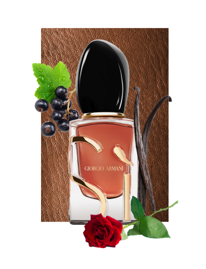 Giorgio Armani Sì Eau de Parfum vor Lederhintergrund mit schwarzen Johannisbeeren, roter Rose und Vanilleschote