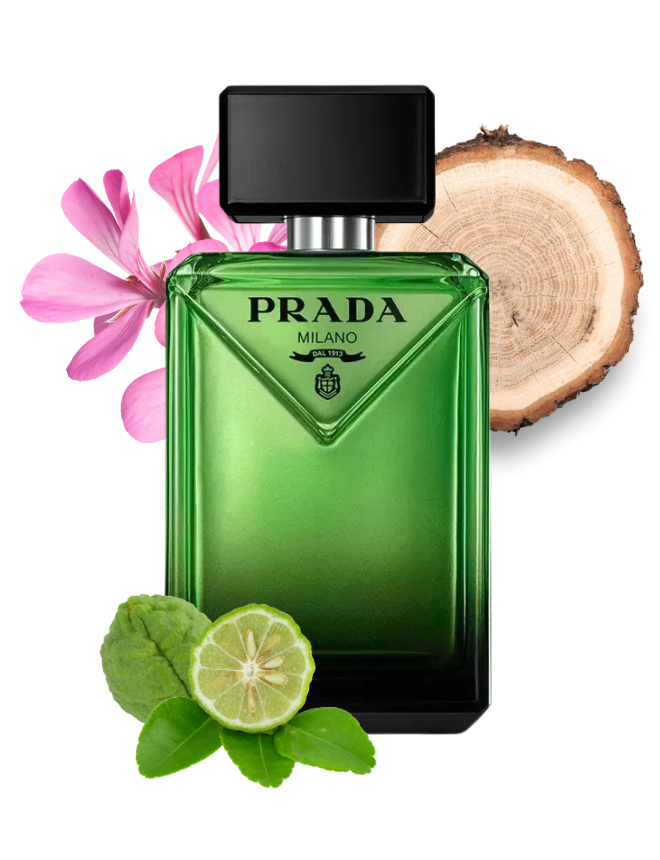 Prada Paradigme Eau de Parfum, grüner Flakon mit rosa Blüten, Bergamotte und Holzscheibe