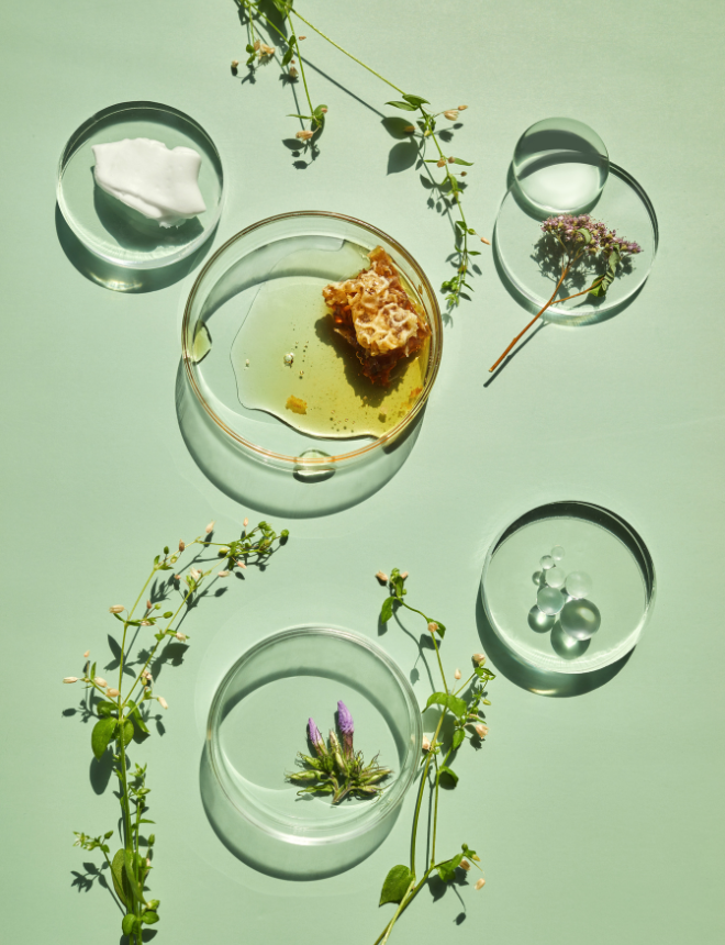 Kategoriebild Naturkosmetik mit Honigwabe, Kräuterblüten und Cremeprobe in Glasschälchen auf mintgrünem Untergrund