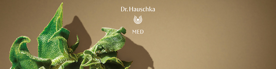 Werbebild von Dr. Hauschka MED: Nahaufnahme einer grünen Pflanze mit fleischigen, kristallartig glänzenden Blättern vor beigefarbenem Hintergrund. Darüber steht das Dr. Hauschka-Logo mit dem Zusatz „MED“ – Symbol für medizinische Naturkosmetik.