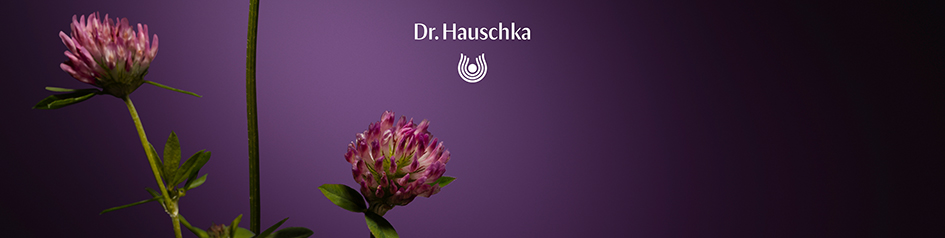 Werbebild von Dr. Hauschka: Zwei rosaviolett blühende Rotklee-Pflanzen mit grünen Blättern vor einem dunklen violetten Hintergrund. Darüber das Dr. Hauschka-Logo in Weiß – das Bild steht für natürliche Inhaltsstoffe und Pflanzenkraft.